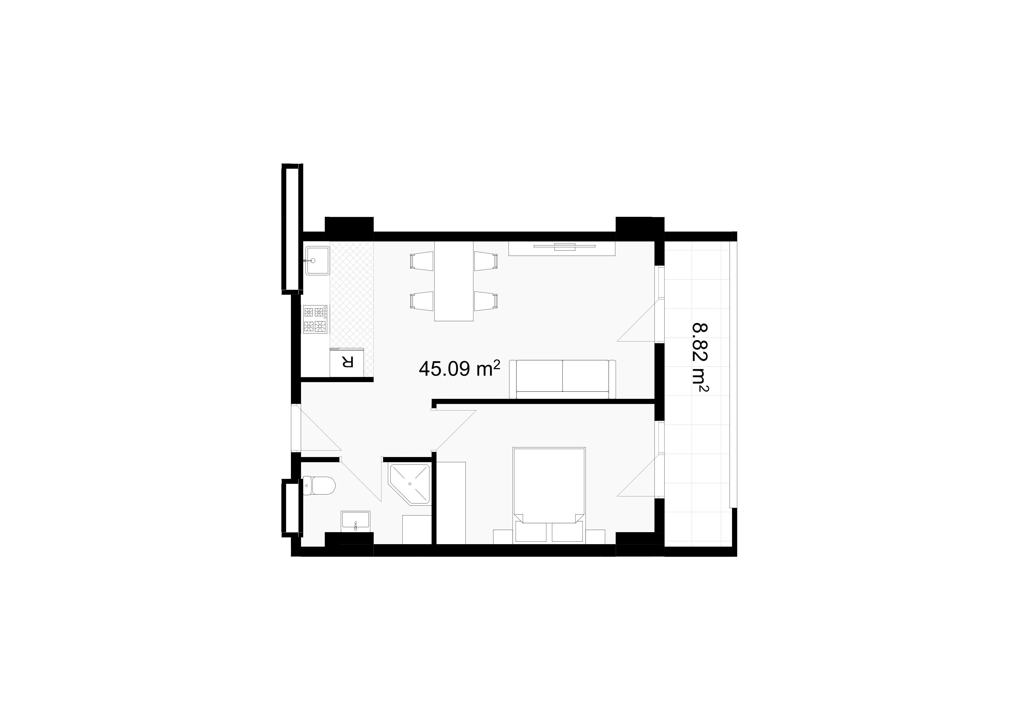 2D Image