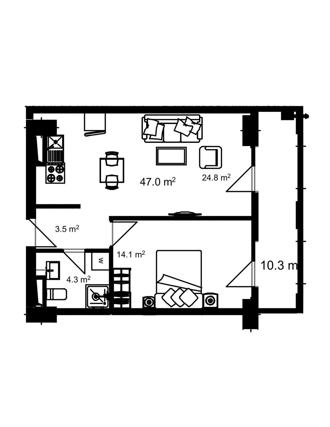 2D Image